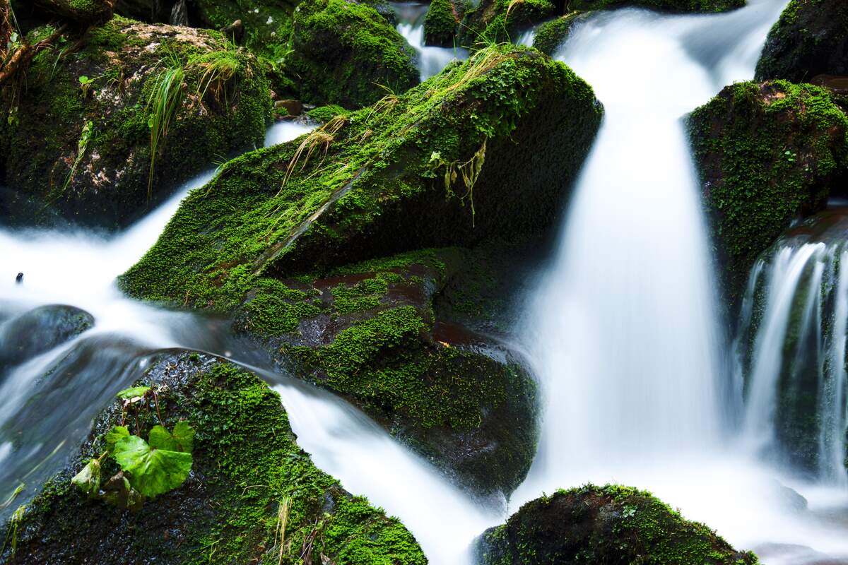 World Rivers Day