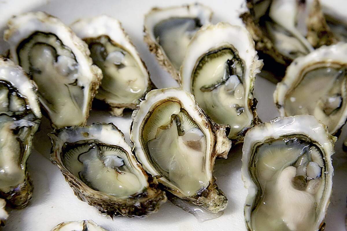 National Oyster Day