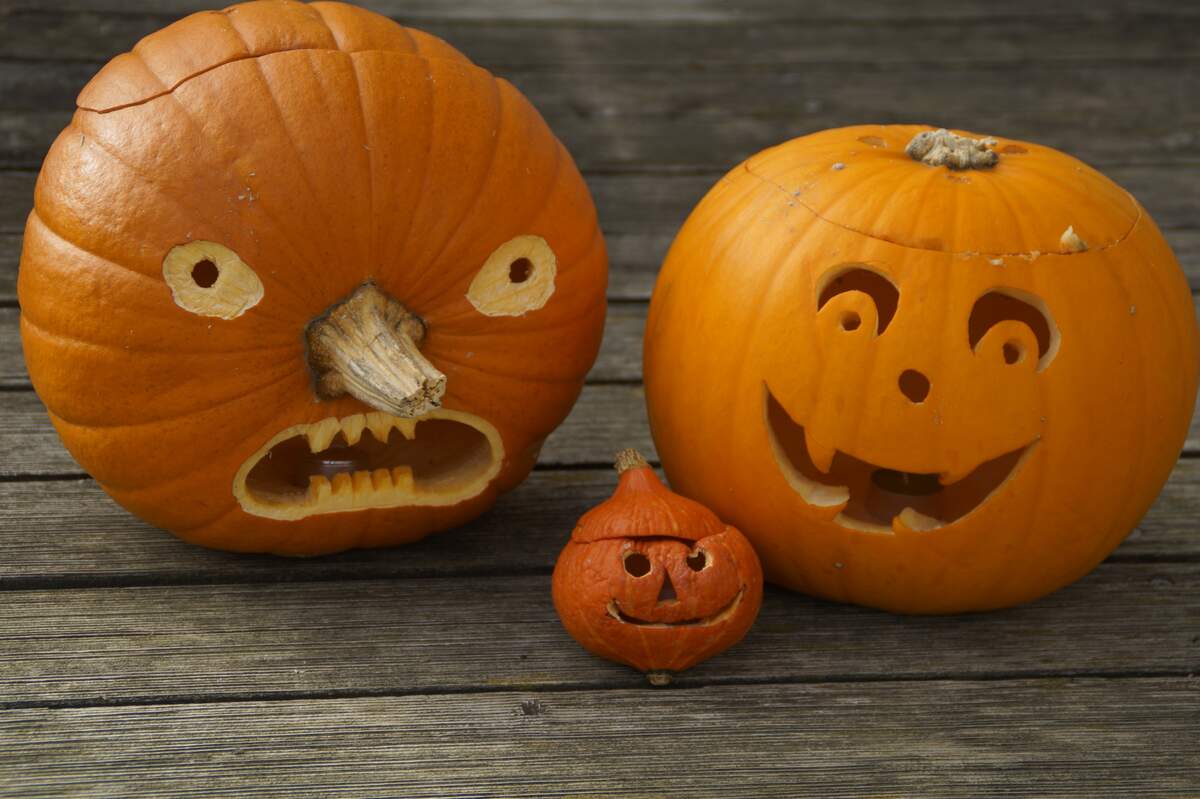 Carve a Pumpkin Day