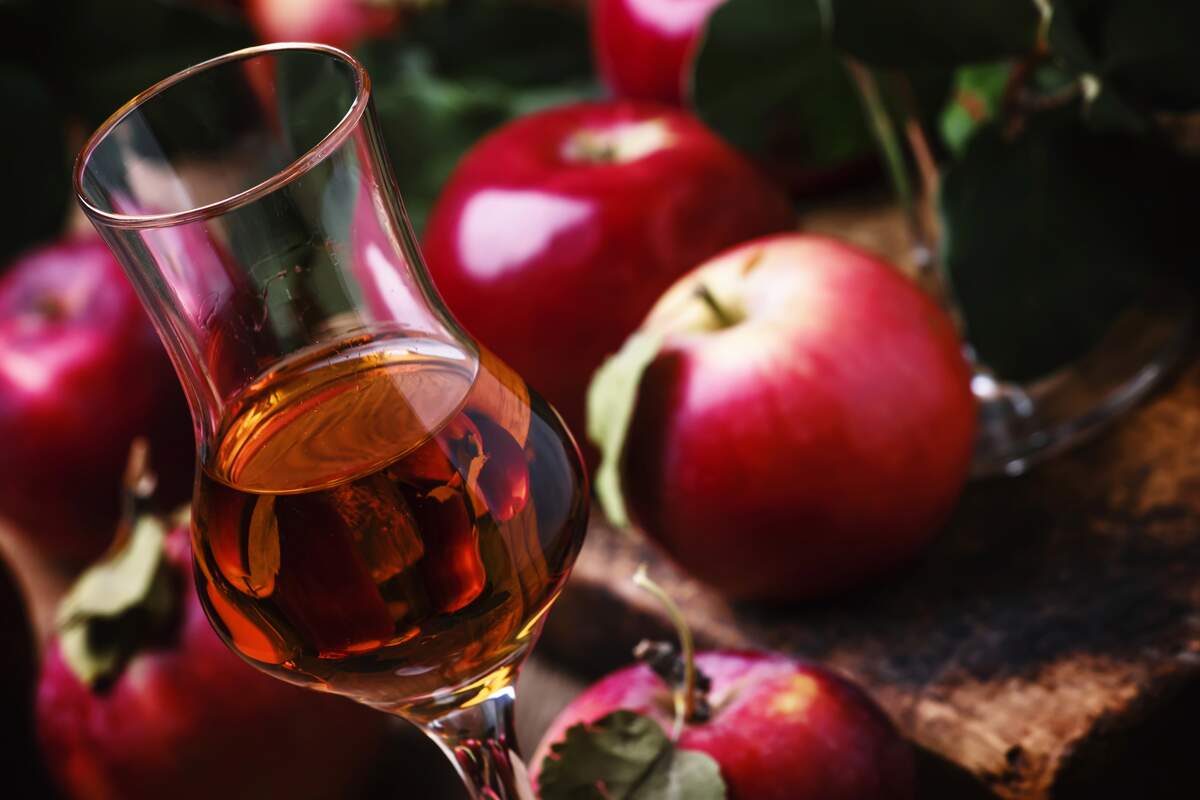 World Calvados Day