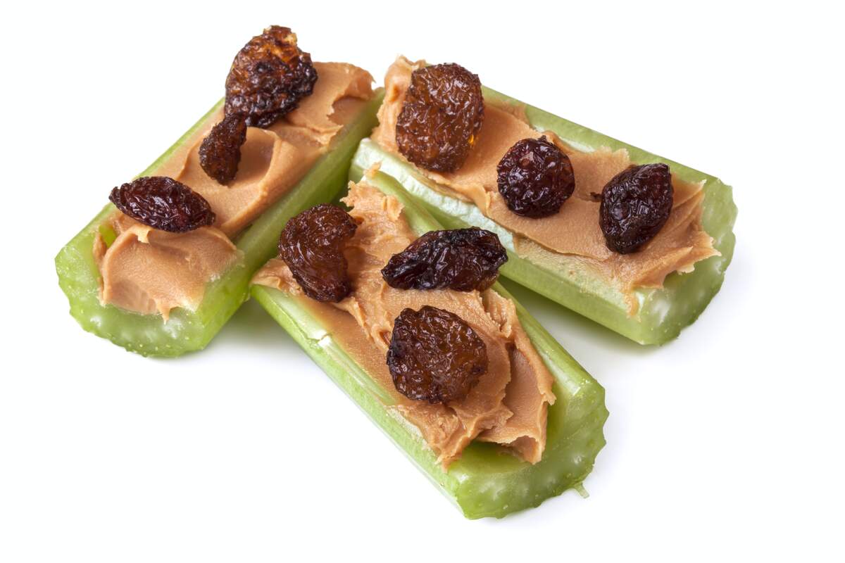 National Ants on a Log Day