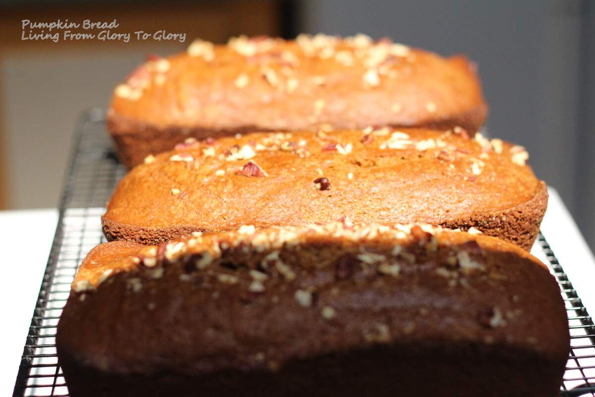 Pumpkin Bread Day