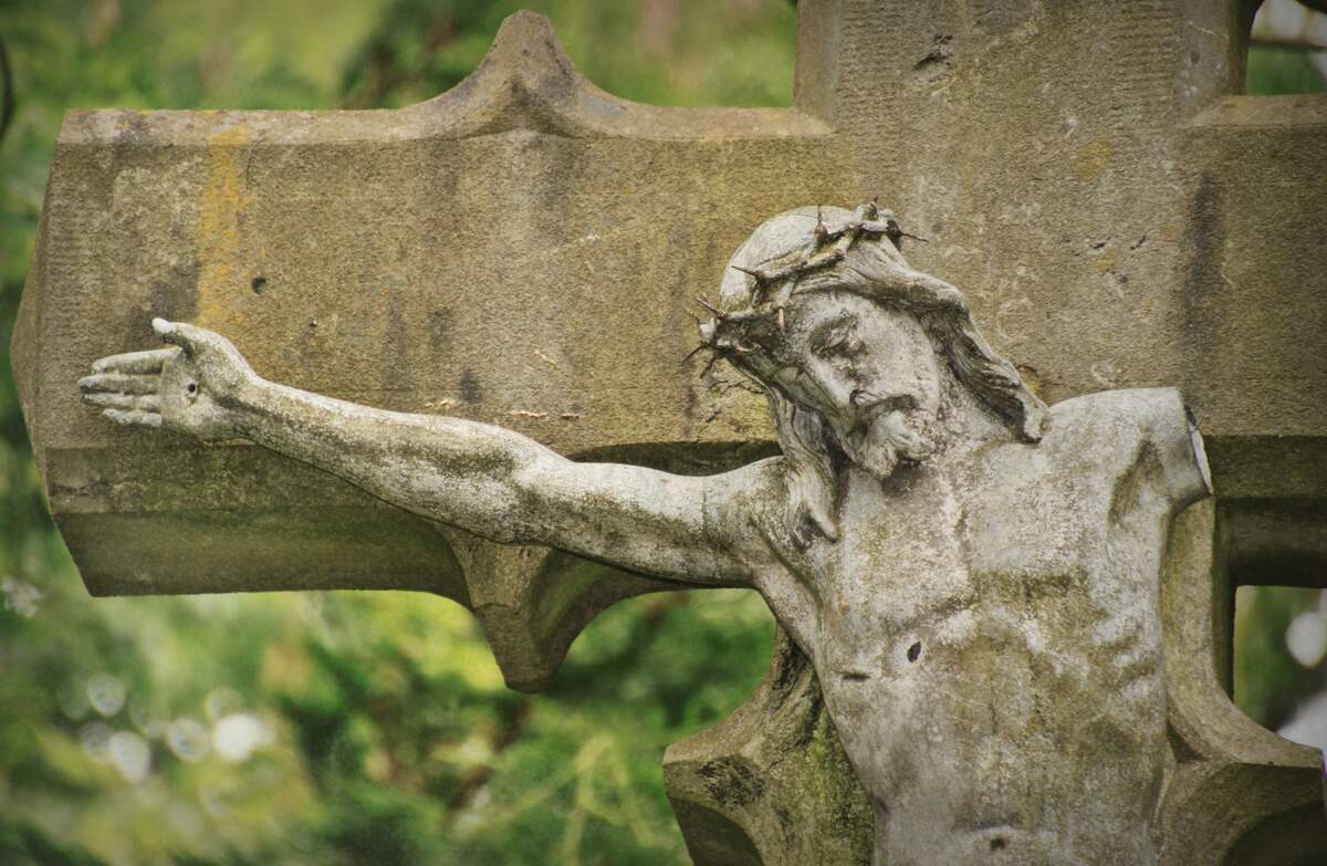 International Forgiveness Day