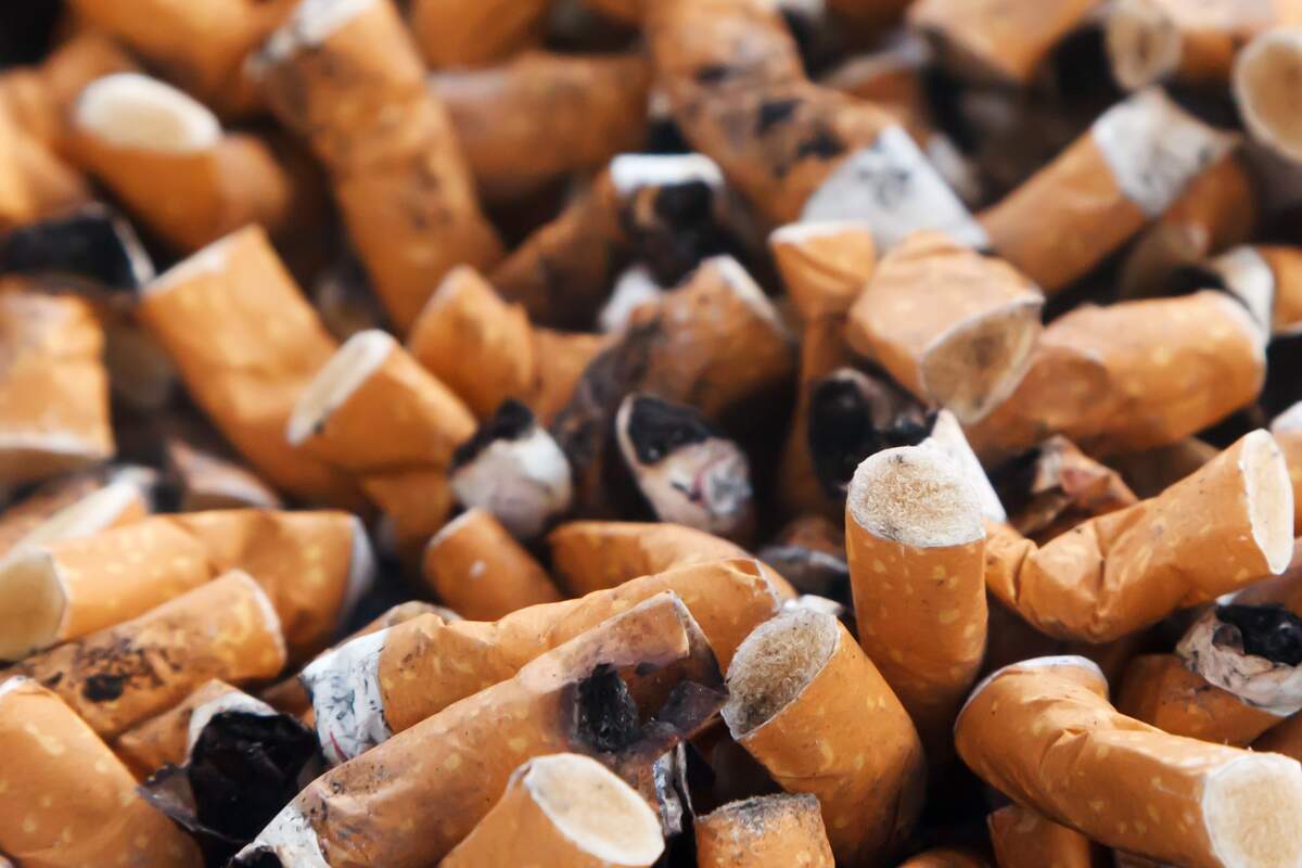 World Lung Cancer Day