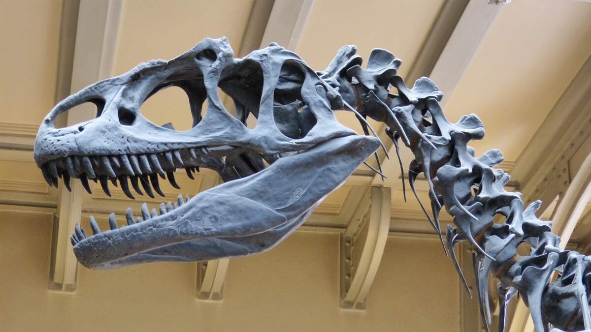 Dinosaurs Day