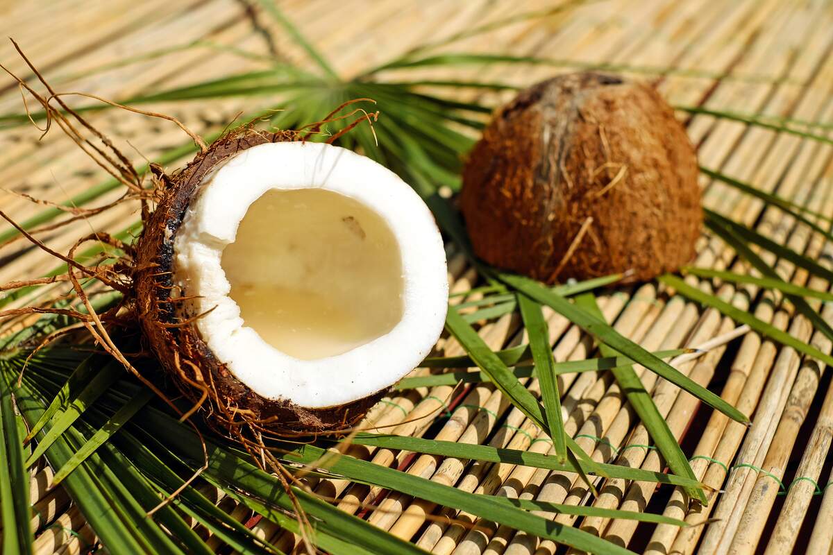 National Coconut Day