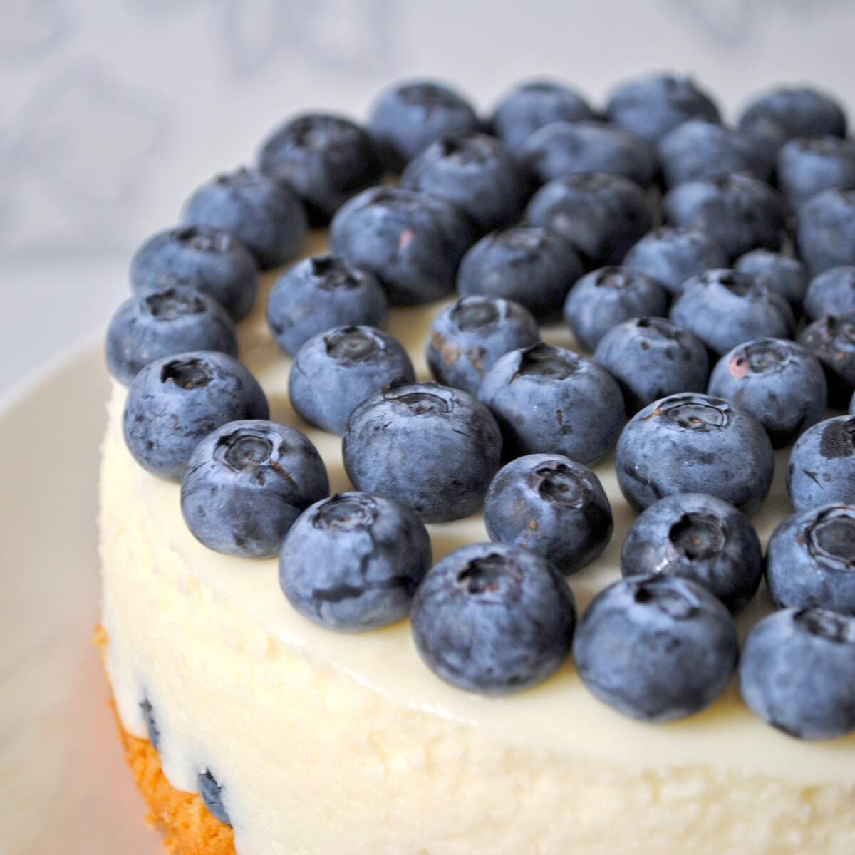 National Blueberry Day