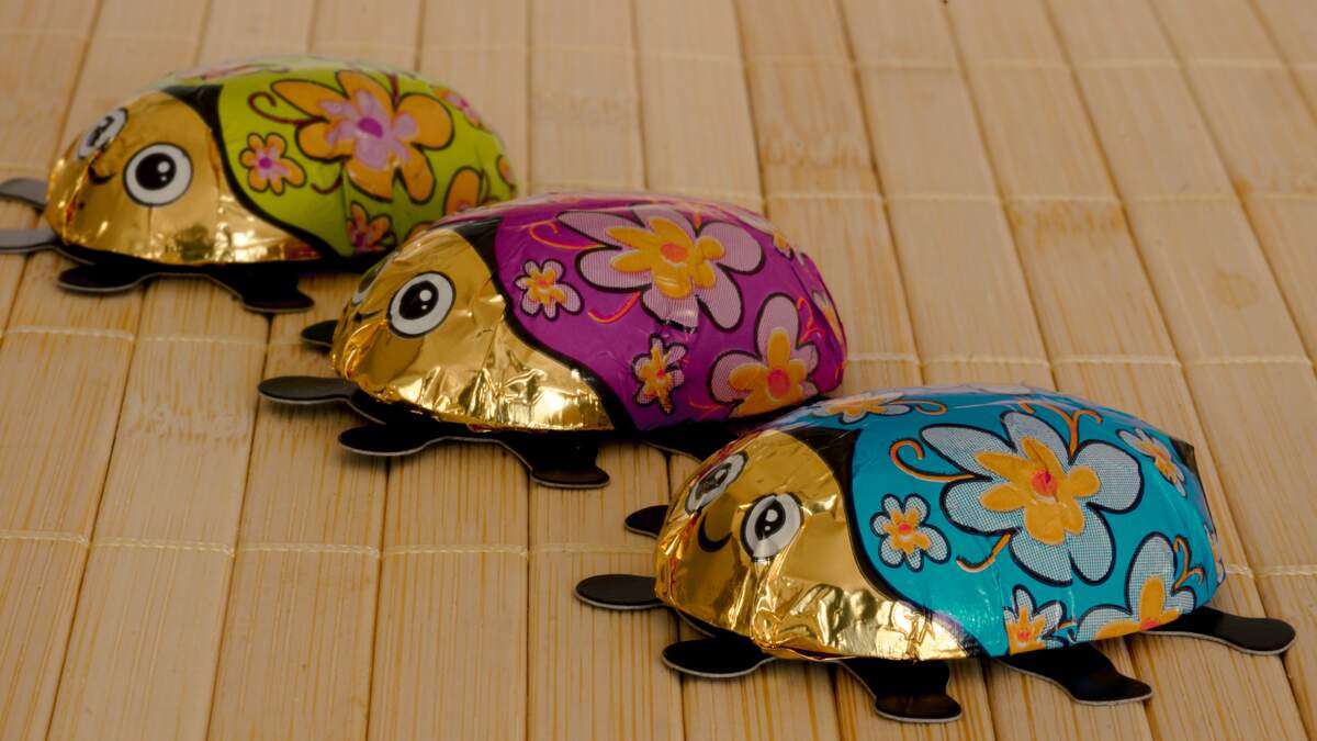 National Chocolate-Covered Insect Day