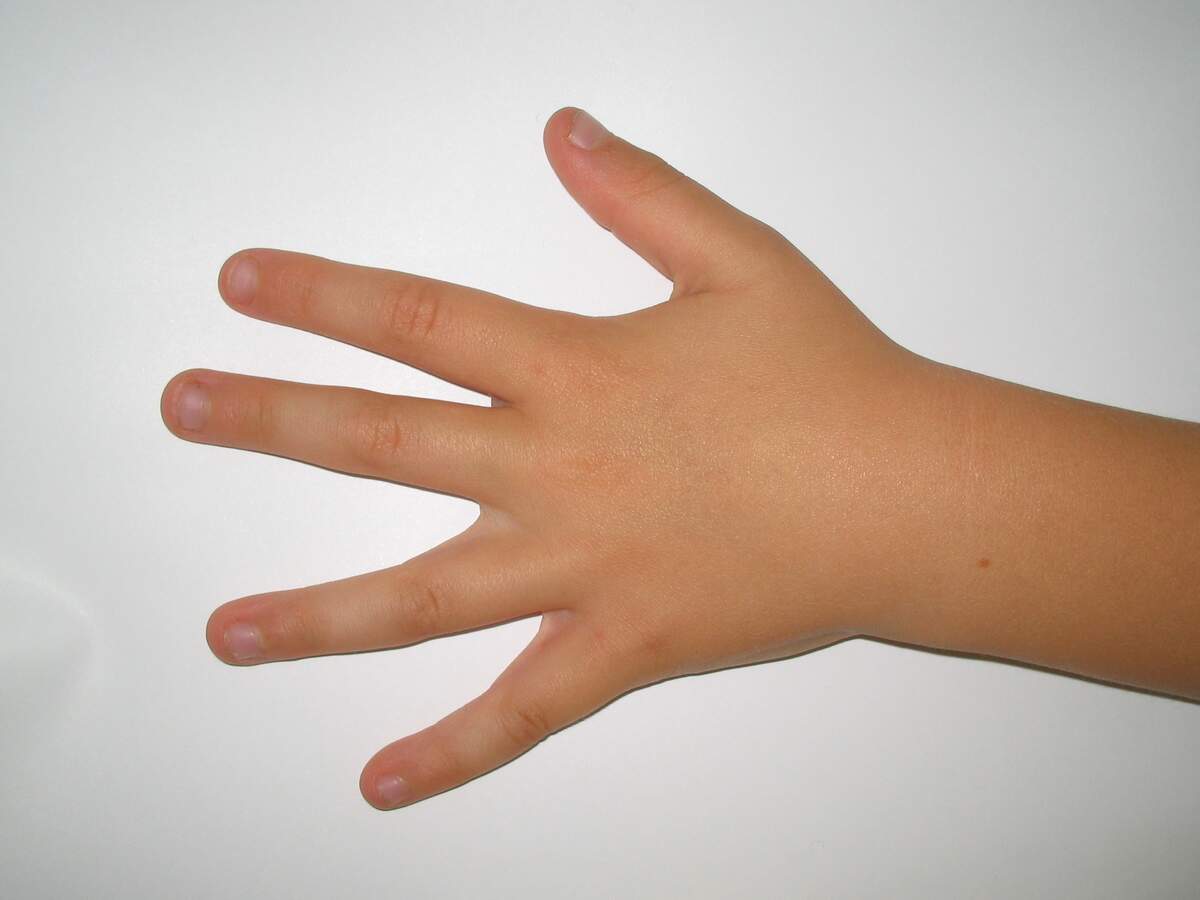 International Left-Handers Day
