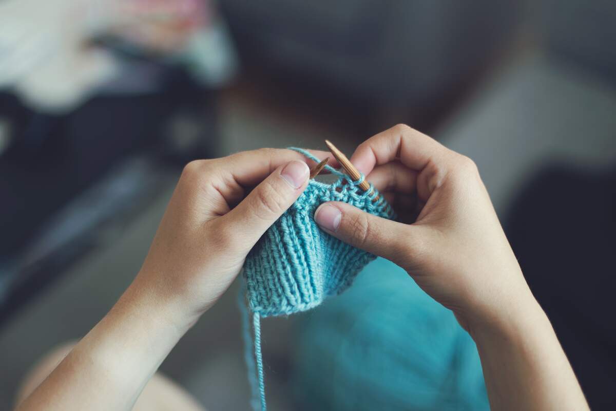 Worldwide Knit in Public Day