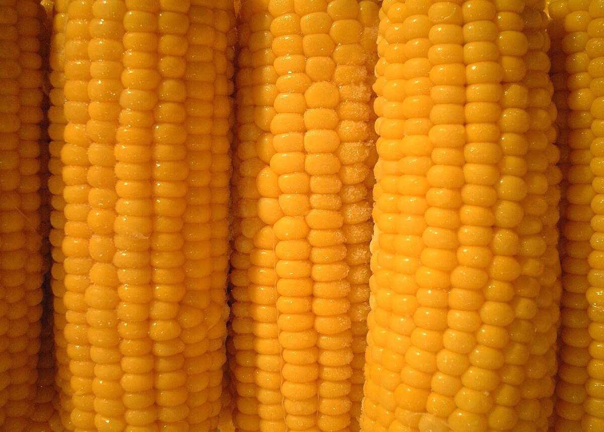 National Corn Day (Mexico)