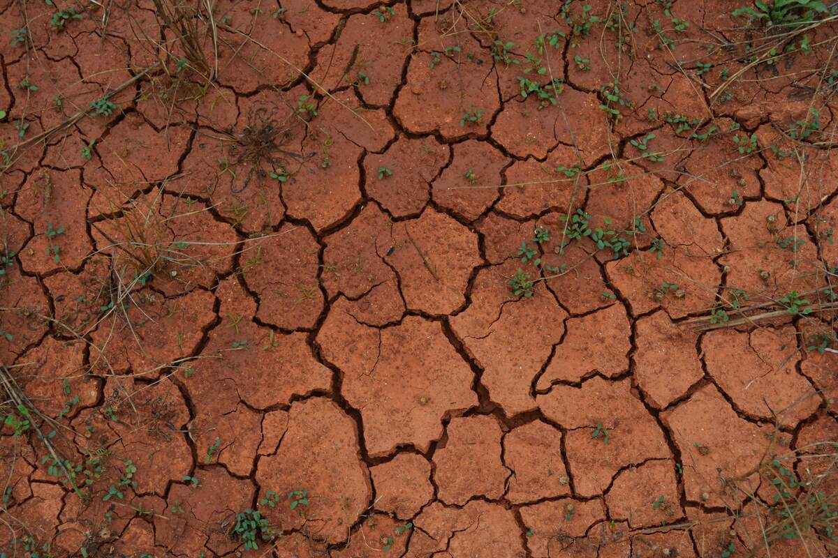 World Day to Combat Desertification and Drought