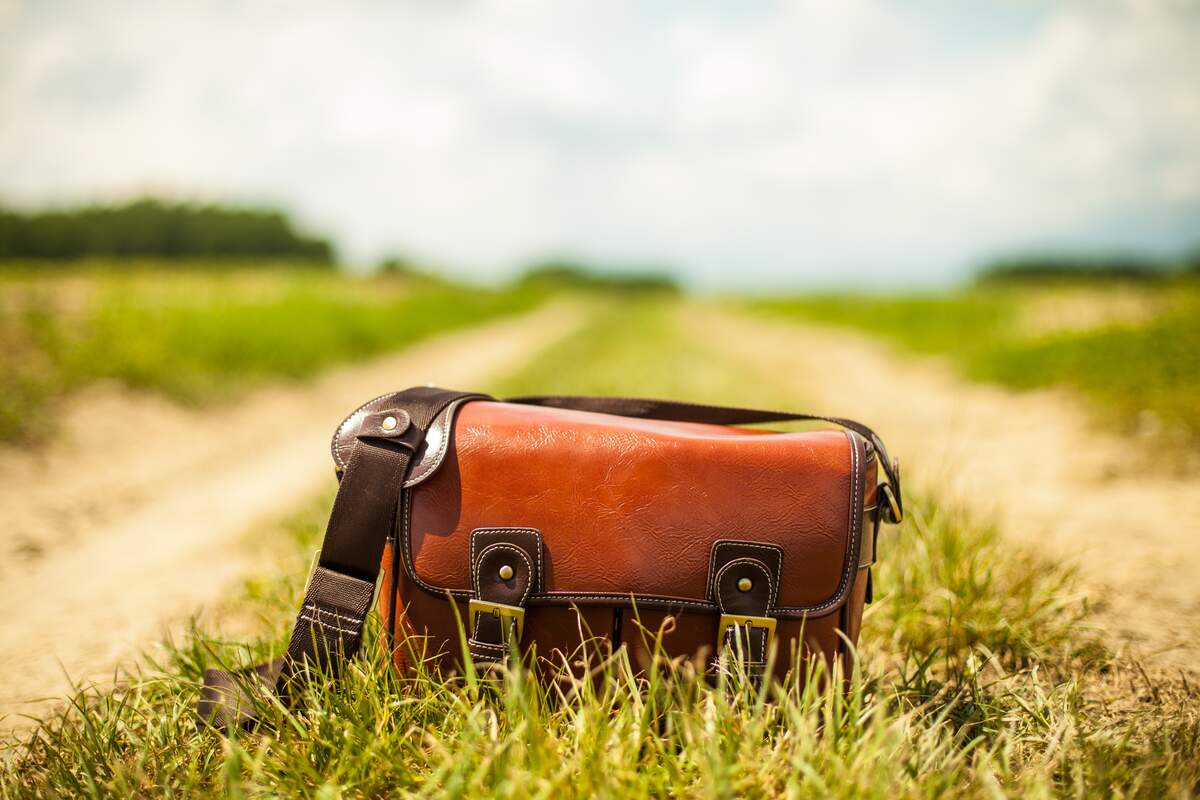 National Handbag Day