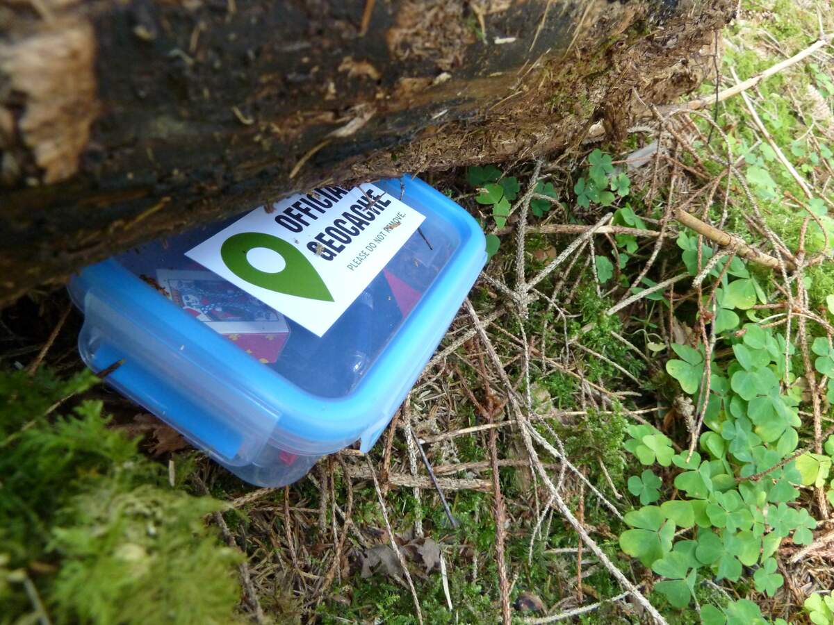 International Geocaching Day
