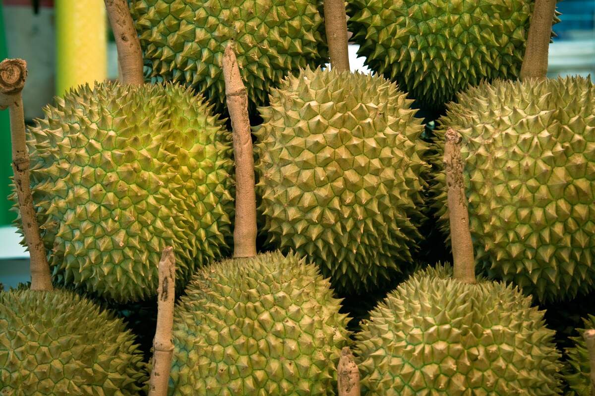 Jackfruit Day