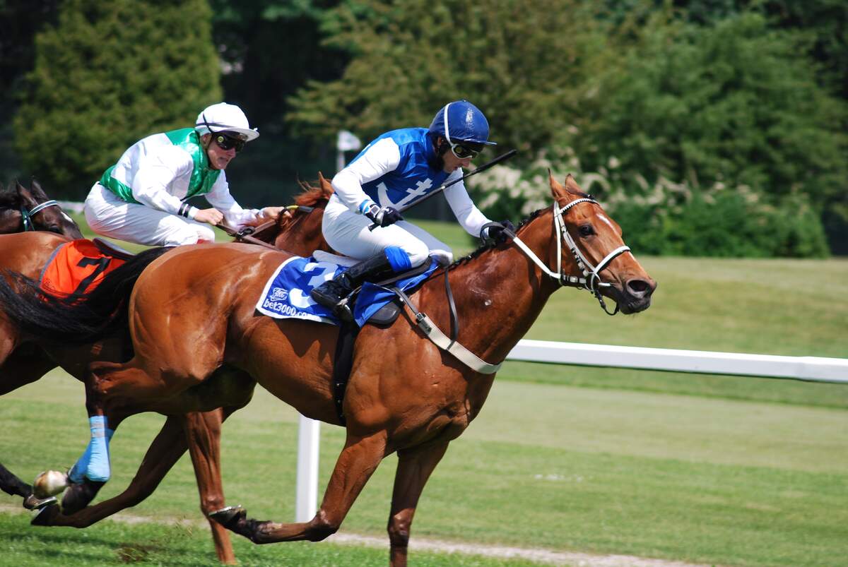 Belmont Stakes