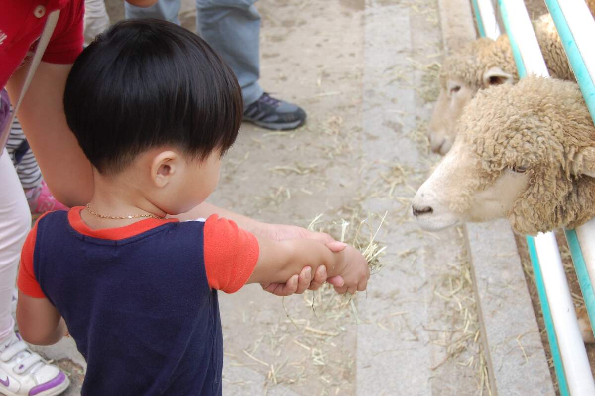 American Zoo Day