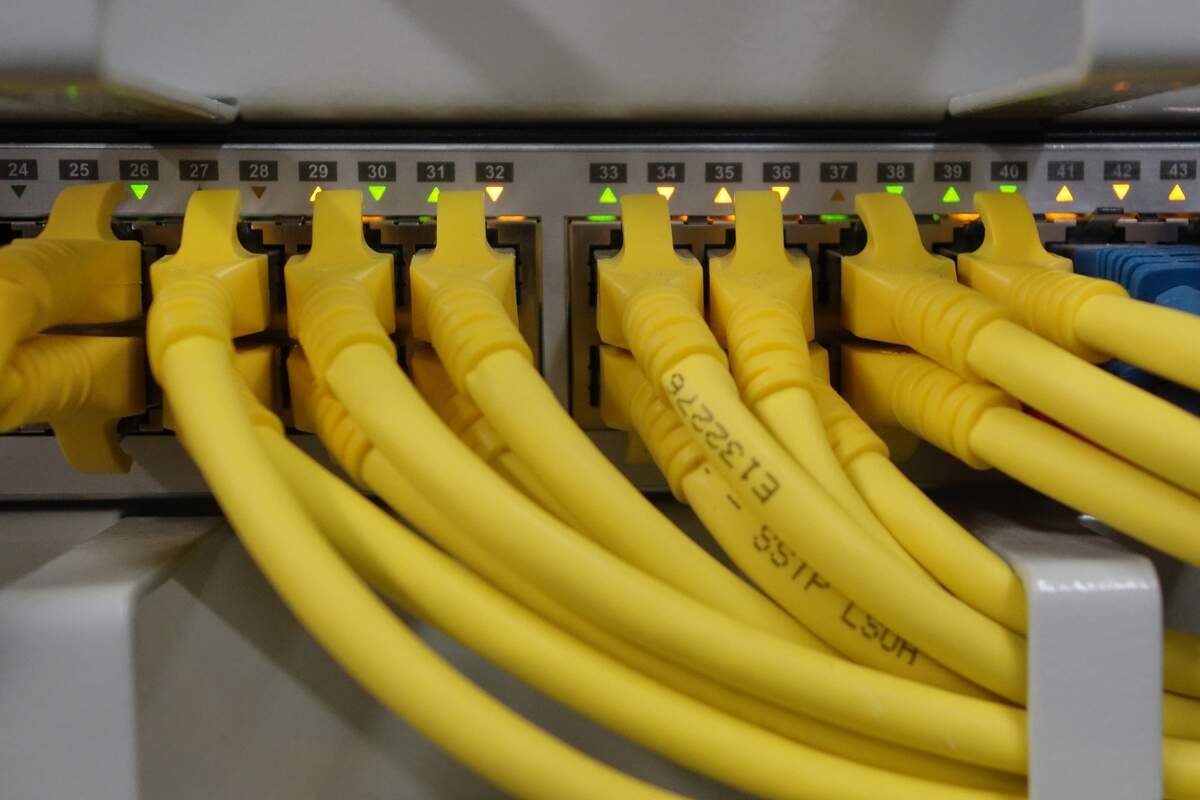National IT Professionals Day