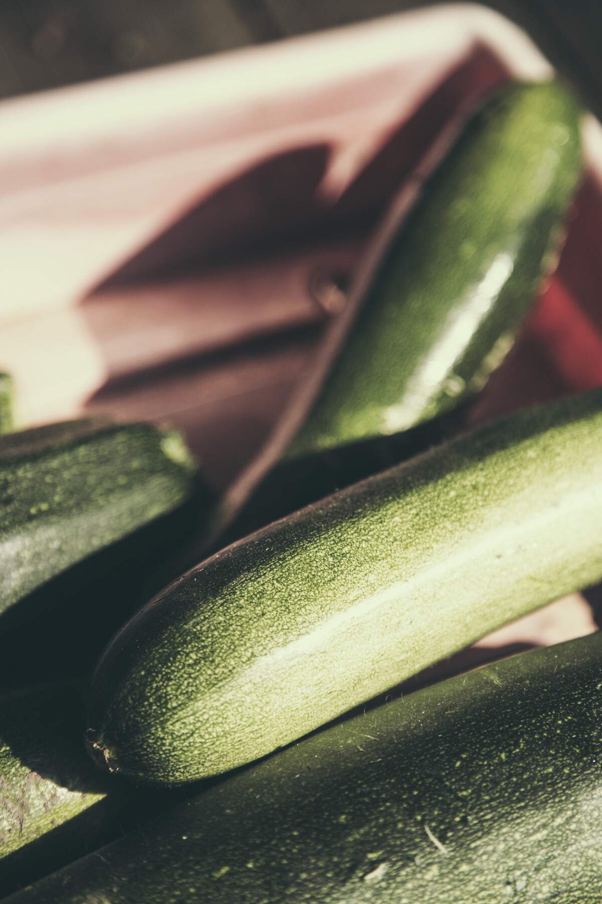 National Zucchini Day