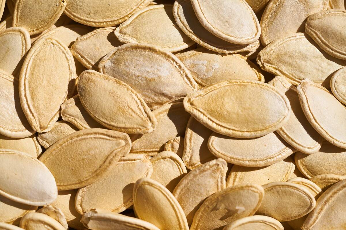 National Pumpkin Seed Day