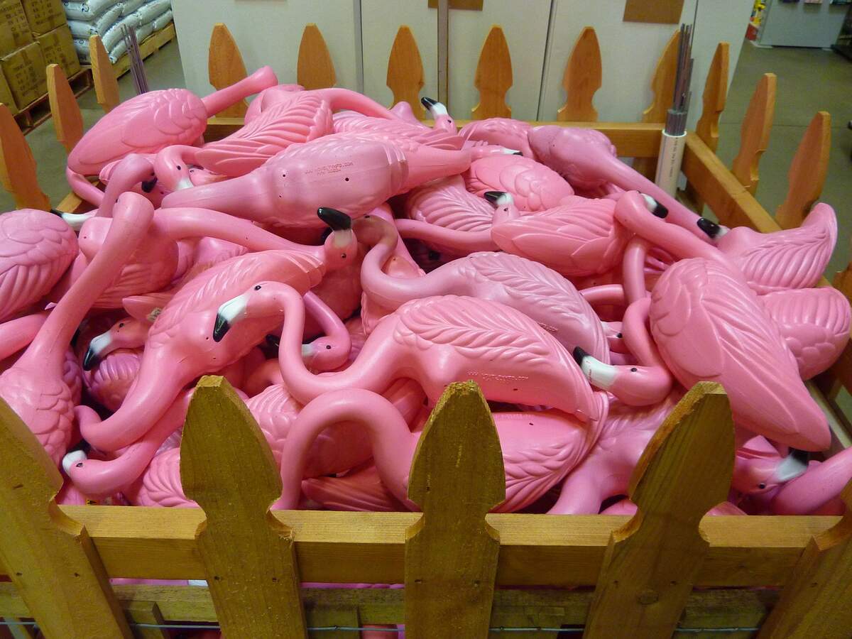 Pink Flamingo Day