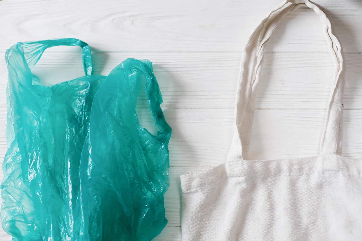 Plastic Bag Free Day