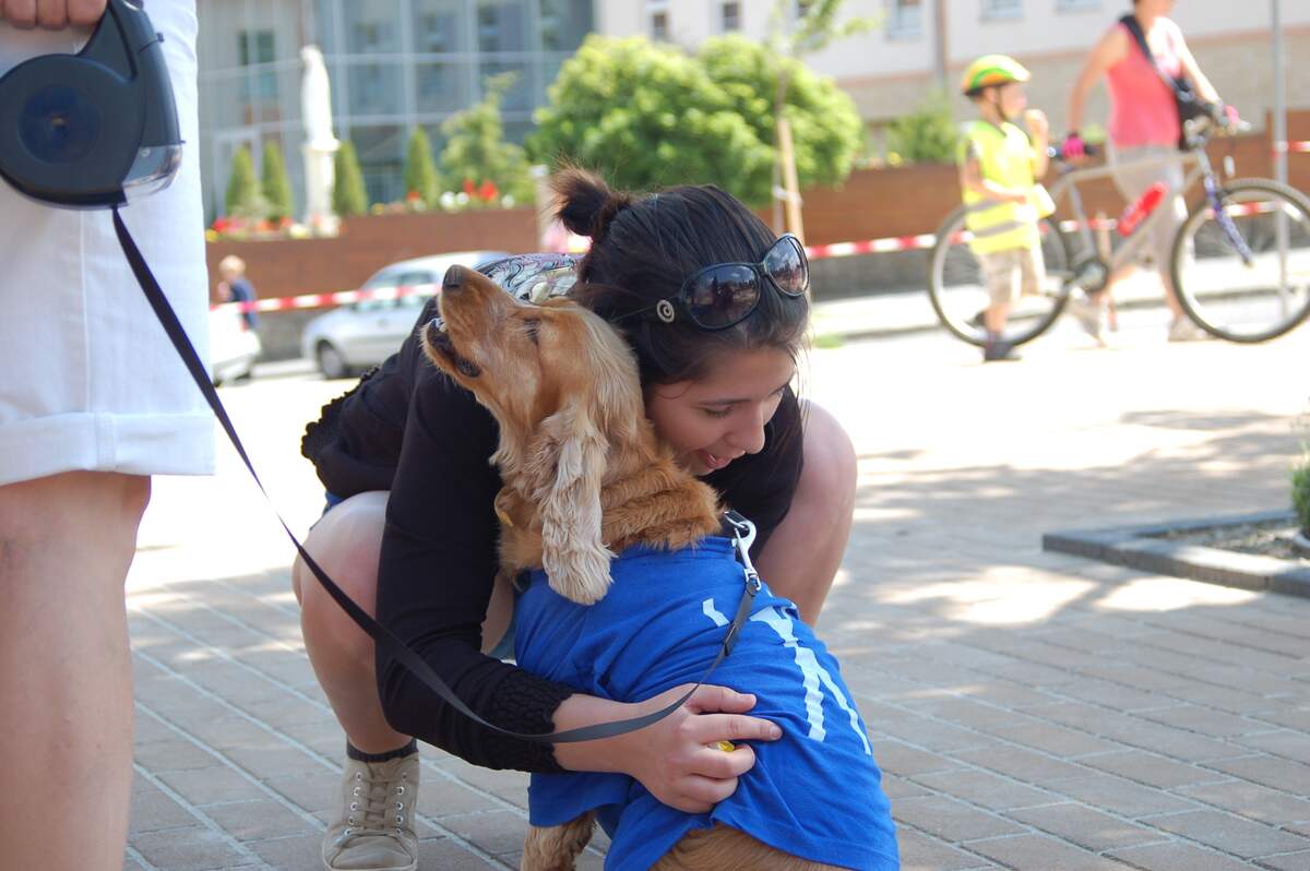 National Hug your Hound Day