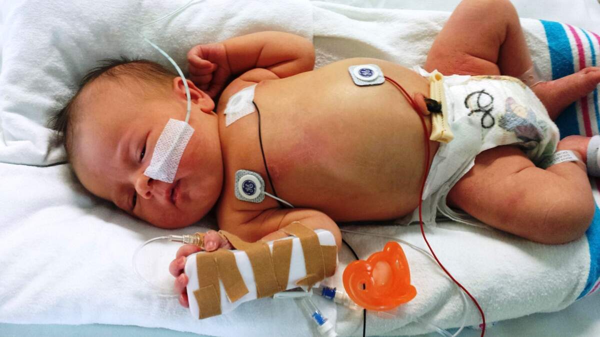 Fetal Alcohol Spectrum Disorders Awareness Day