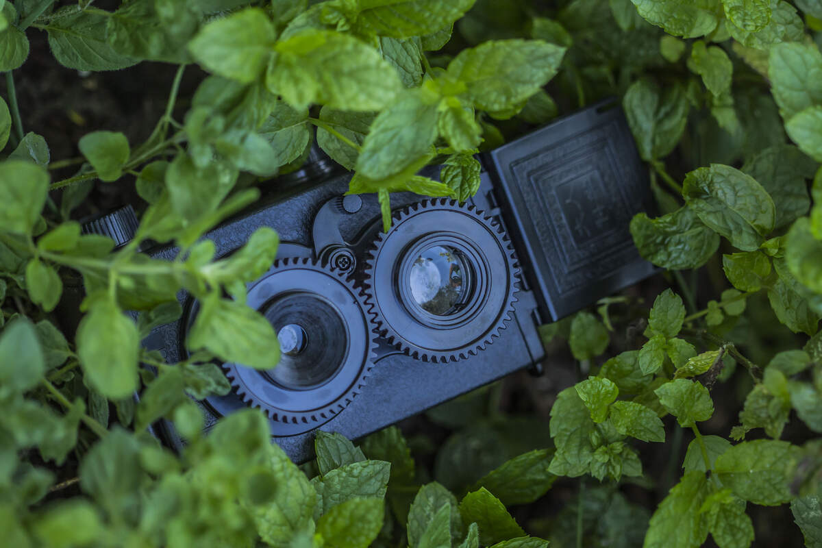 World Toy Camera Day