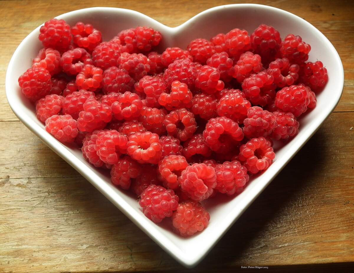 World Heart Day