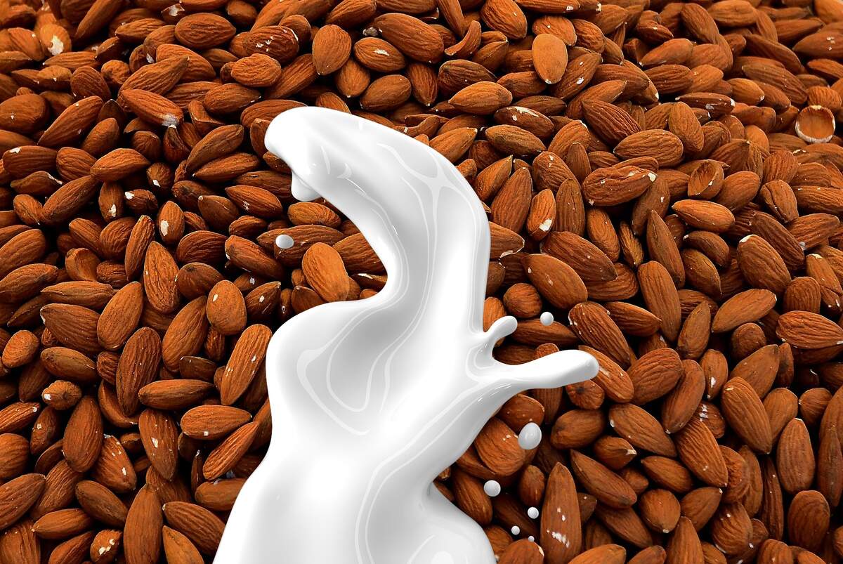 World Plant Milk Day