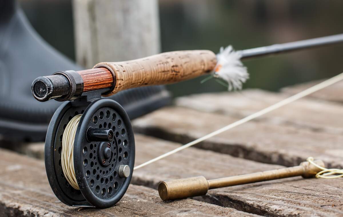 Go Fishing Day