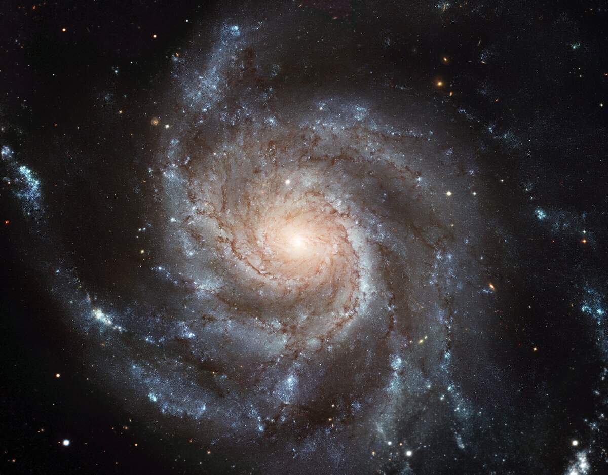 Woman Astronomers Day