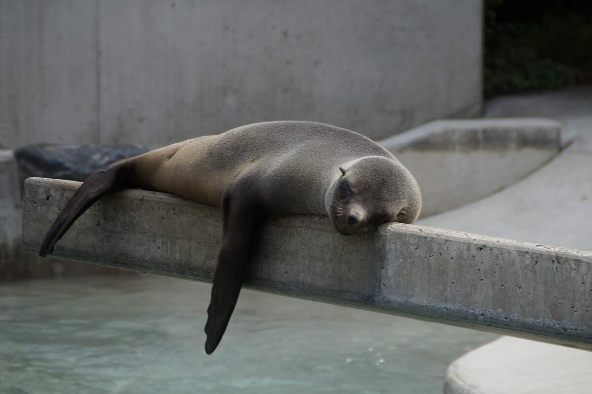 National Lazy Day