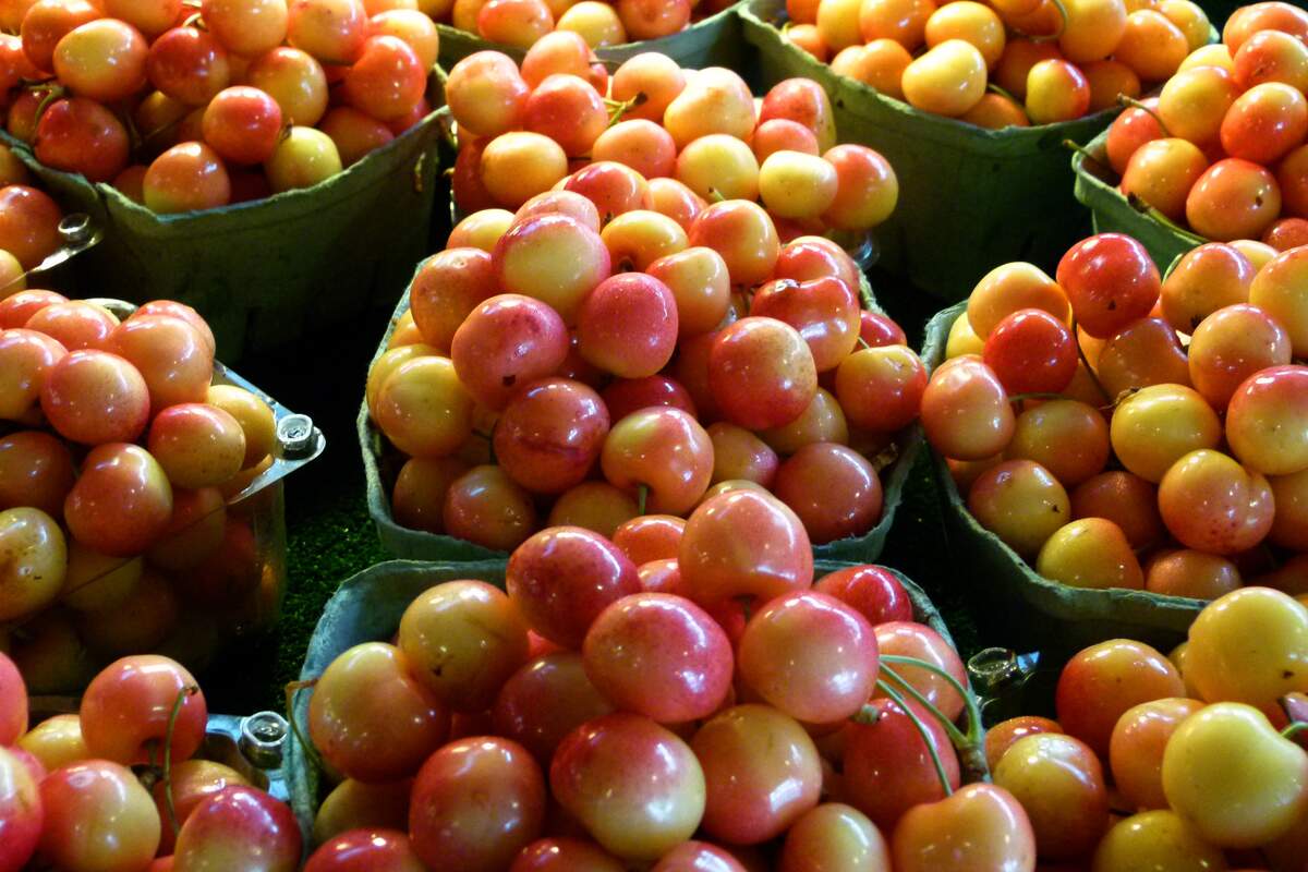 National Rainier Cherries Day