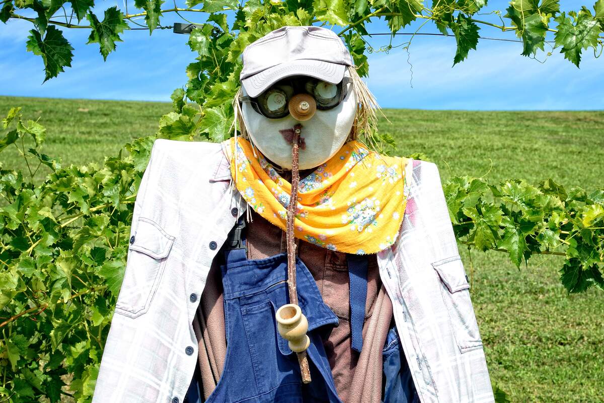 National Build a Scarecrow Day