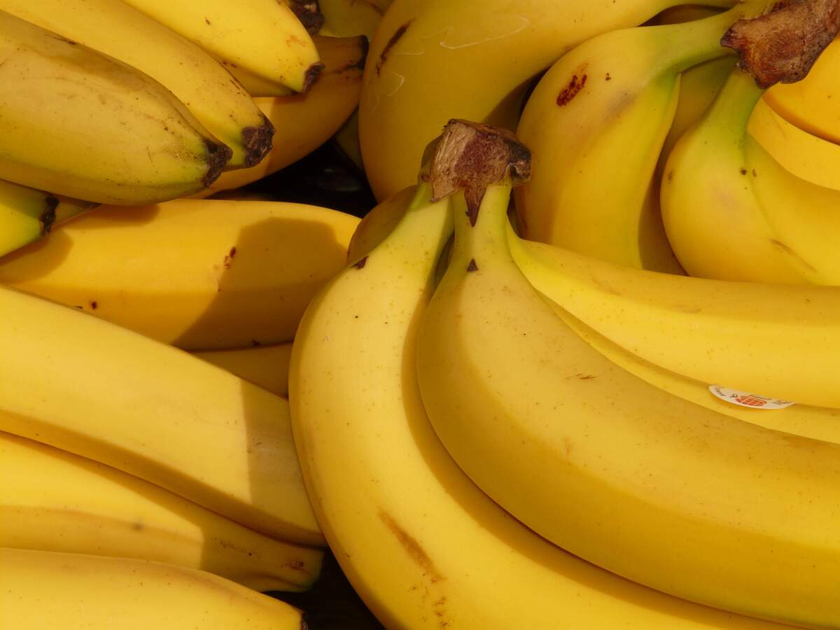National Banana Lovers Day