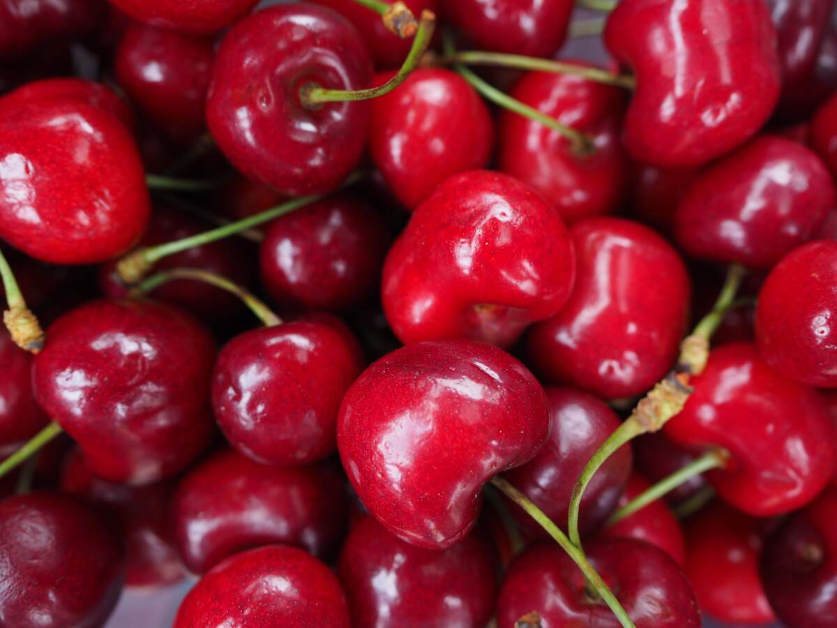International Cherry Pit Spitting Day
