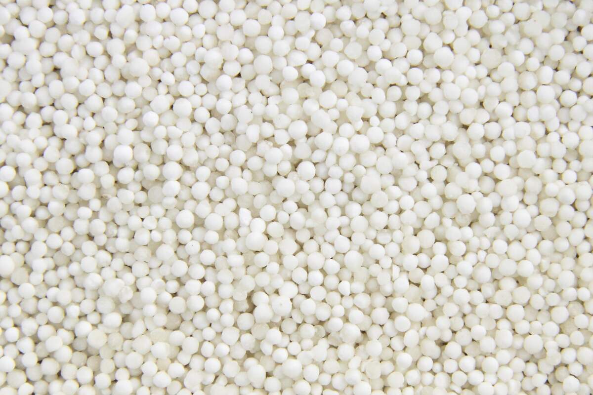National Tapioca Day