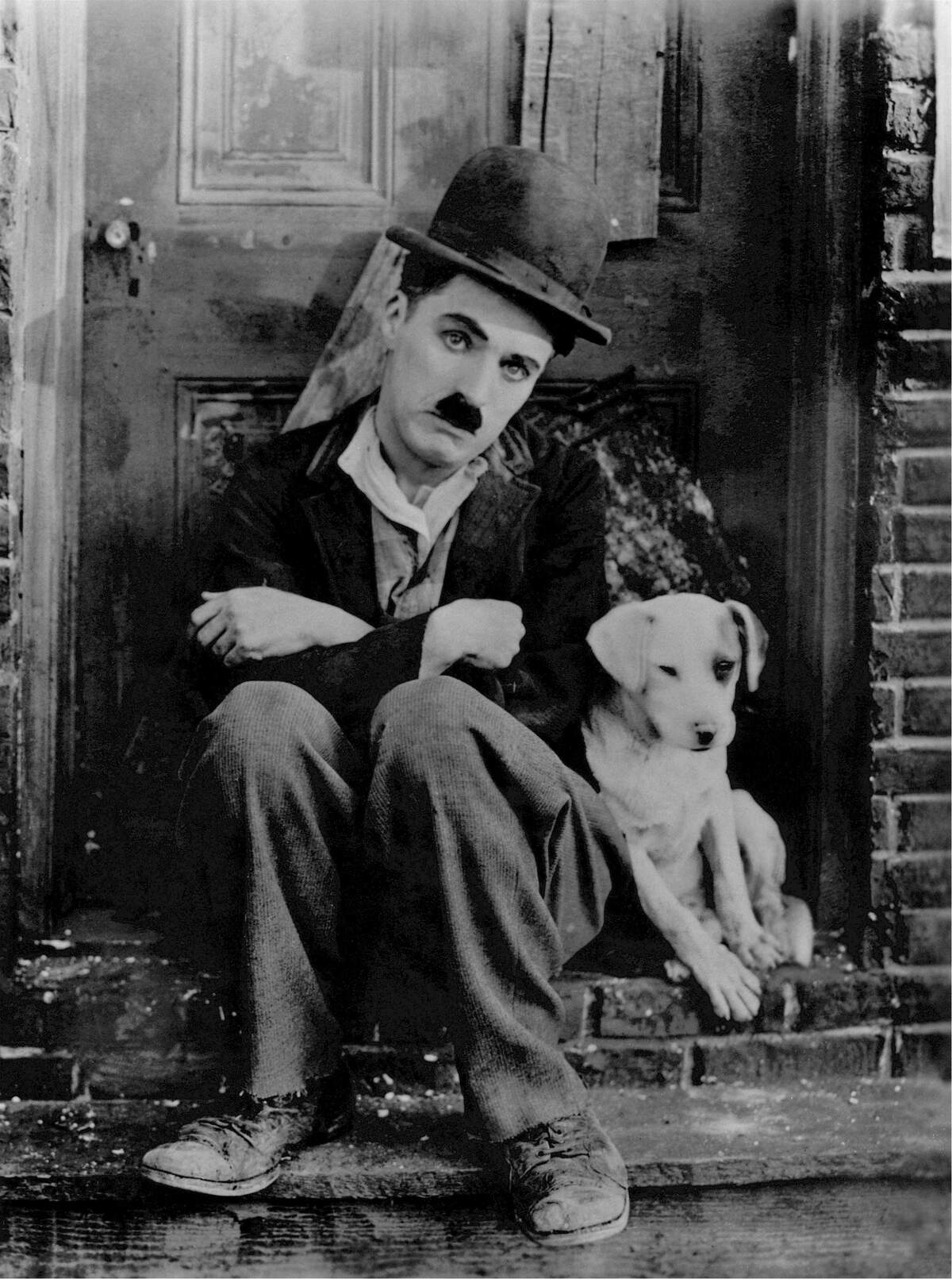 National Pets in Film Day
