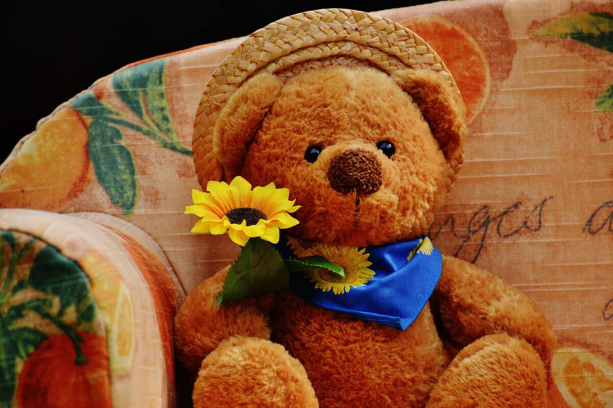 National Teddy Bear Day