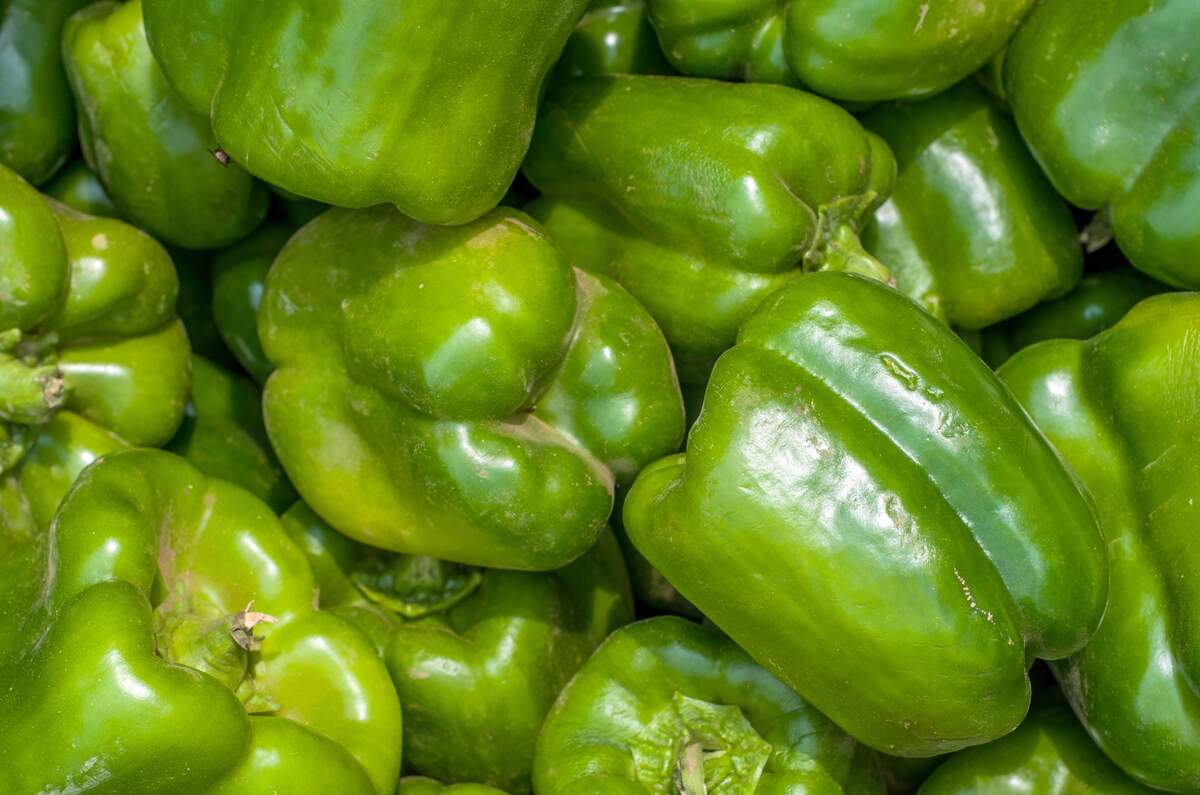 Green Peppers Day
