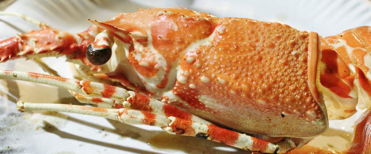 National Crab Meat Newburg Day