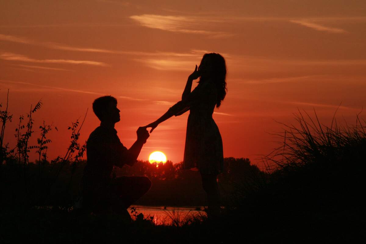 Proposal Day!