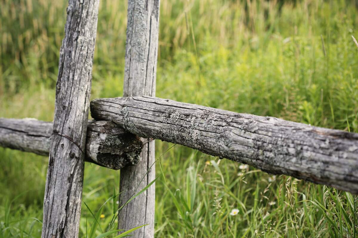 National Prairie Day
