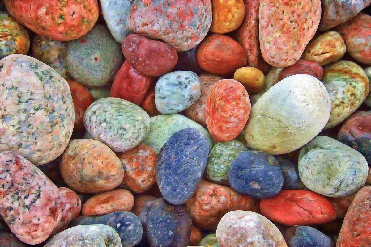 Pet Rock Day