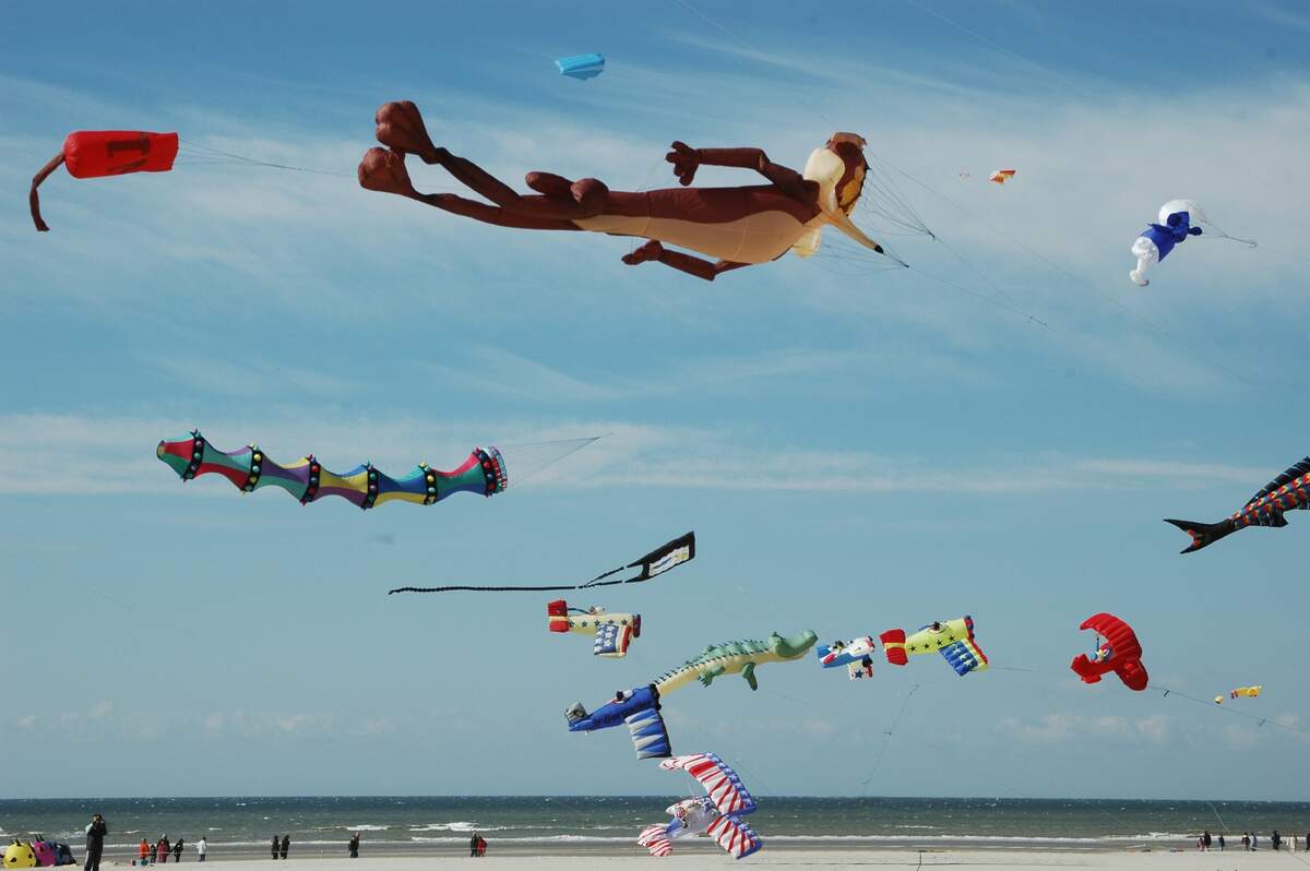 Fly a Kite Day