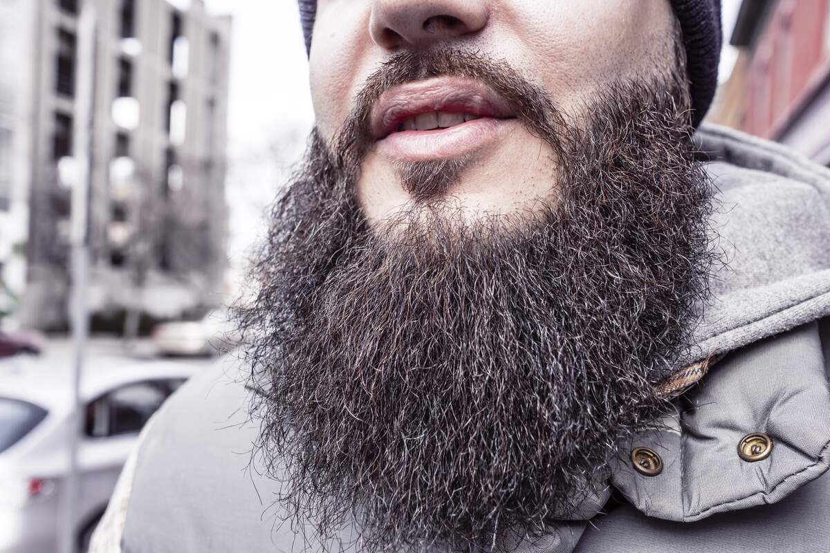 World Beard Day