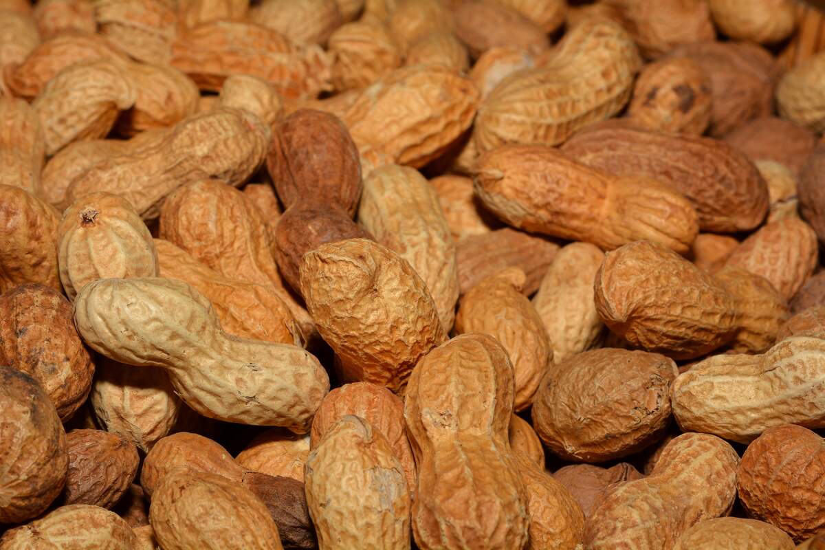 Grab Some Nuts Day