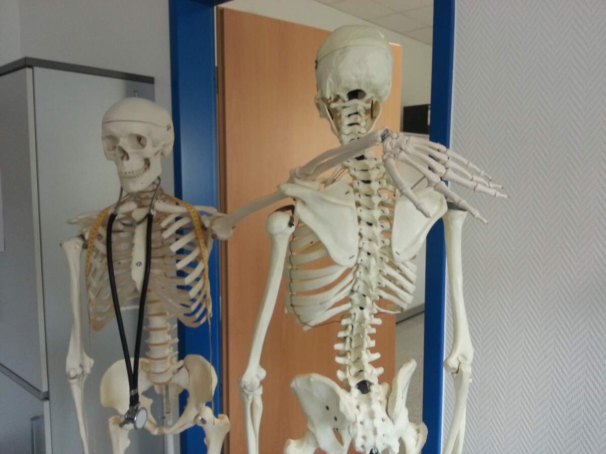 World Pediatric Bone and Joint Day